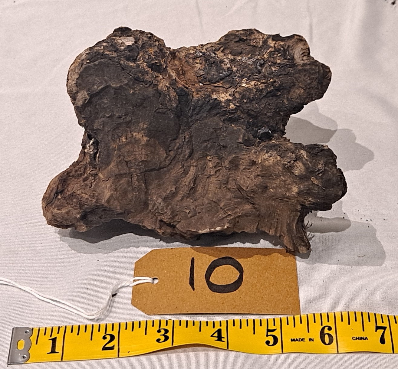 WIO Stone Wood (20-60cm) 10