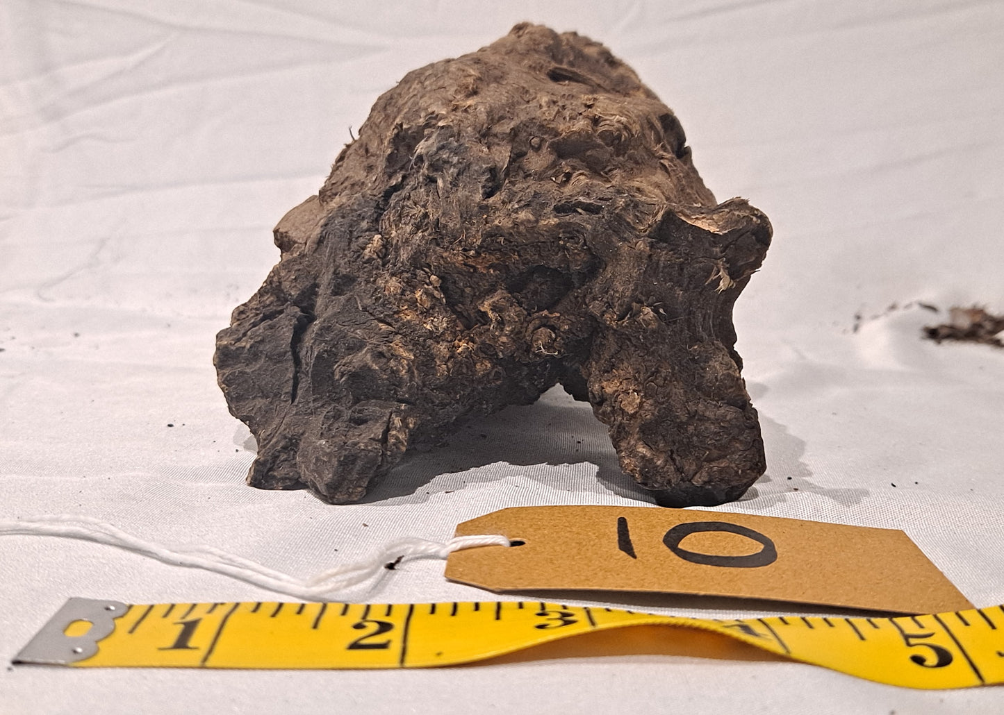 WIO Stone Wood (20-60cm) 10