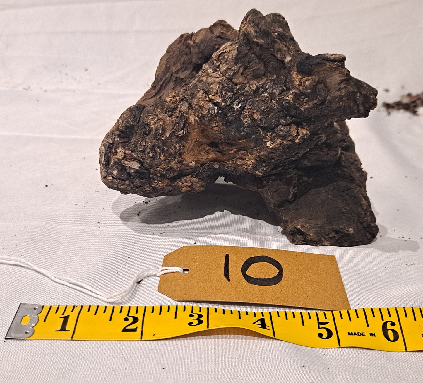 WIO Stone Wood (20-60cm) 10