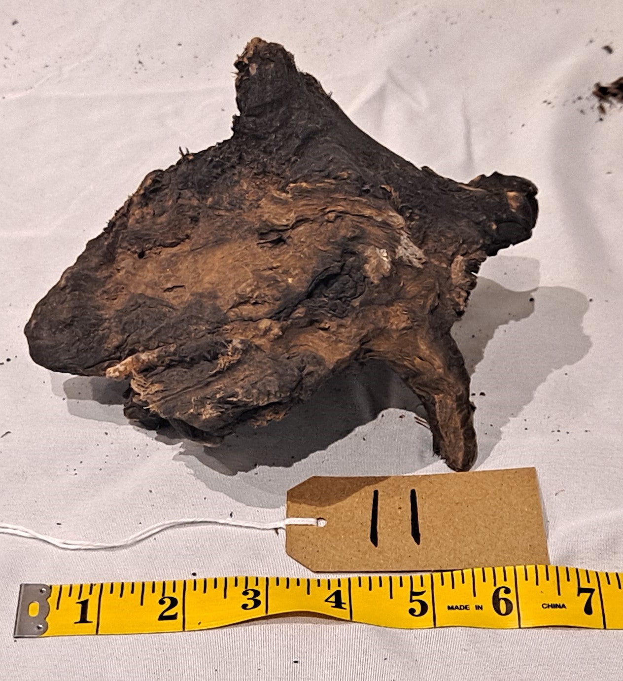 WIO Stone Wood (20-60cm) 11