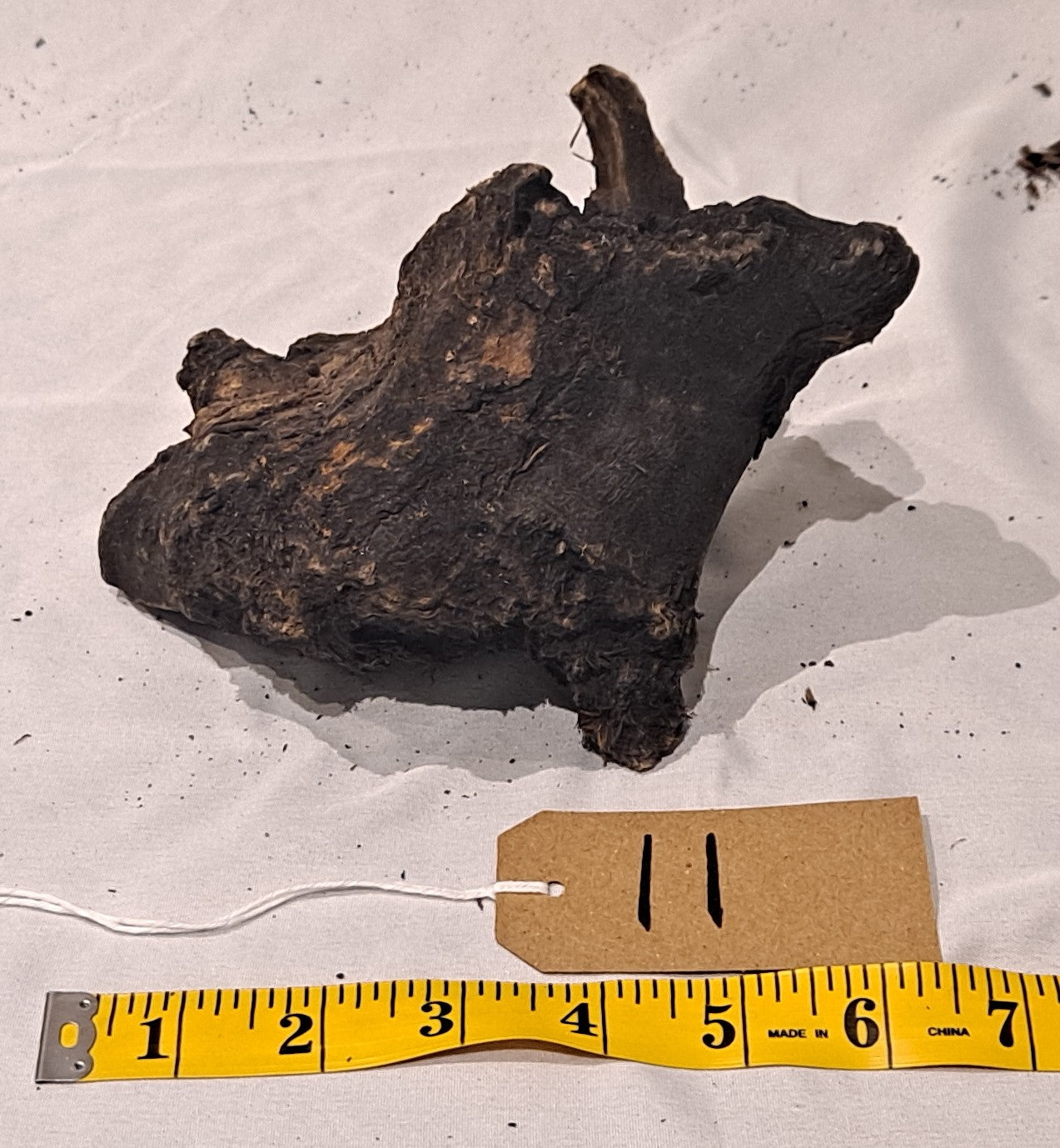 WIO Stone Wood (20-60cm) 11