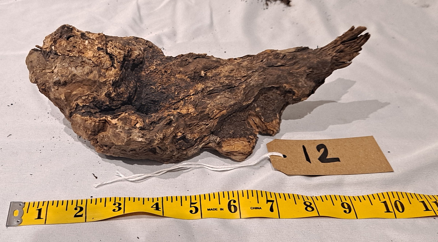 WIO Stone Wood (20-60cm) 12