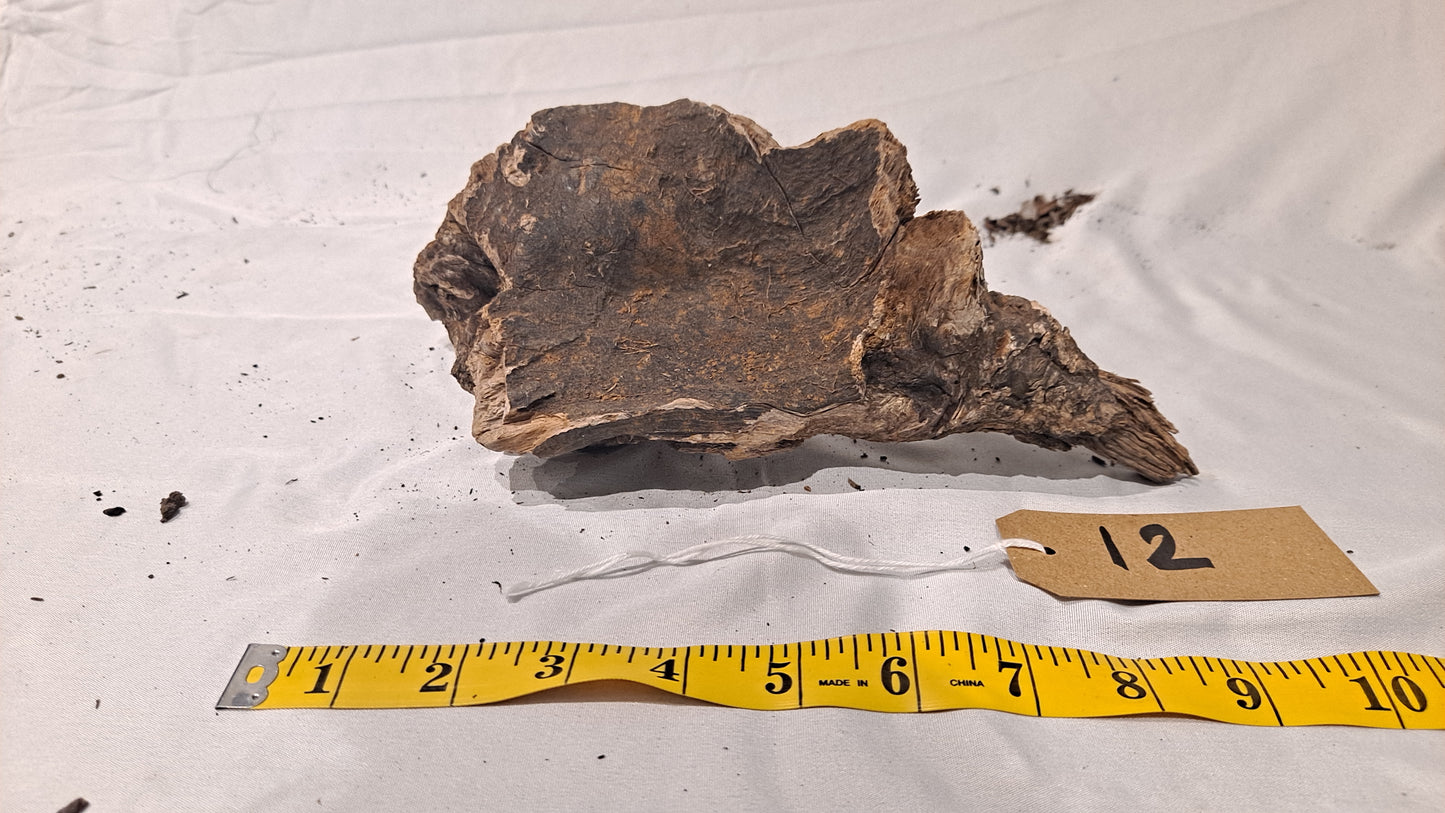 WIO Stone Wood (20-60cm) 12