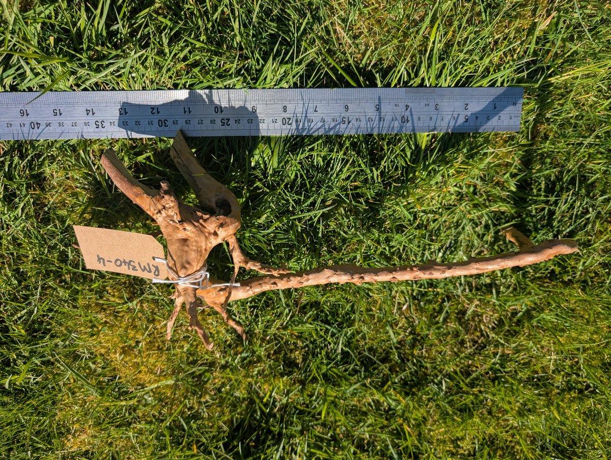 Red Moor Wood (30-40cm) Number 4