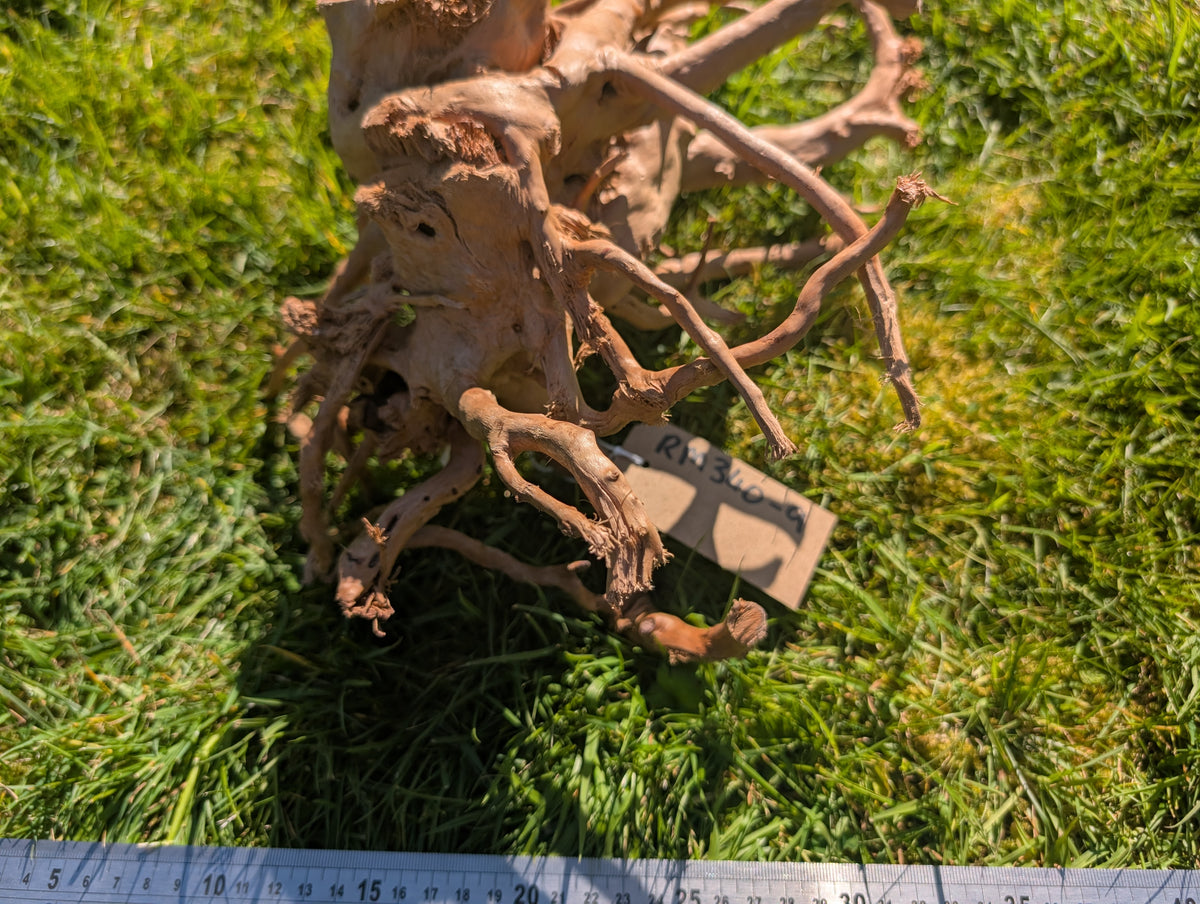 Red Moor Wood (30-40cm) Number 9