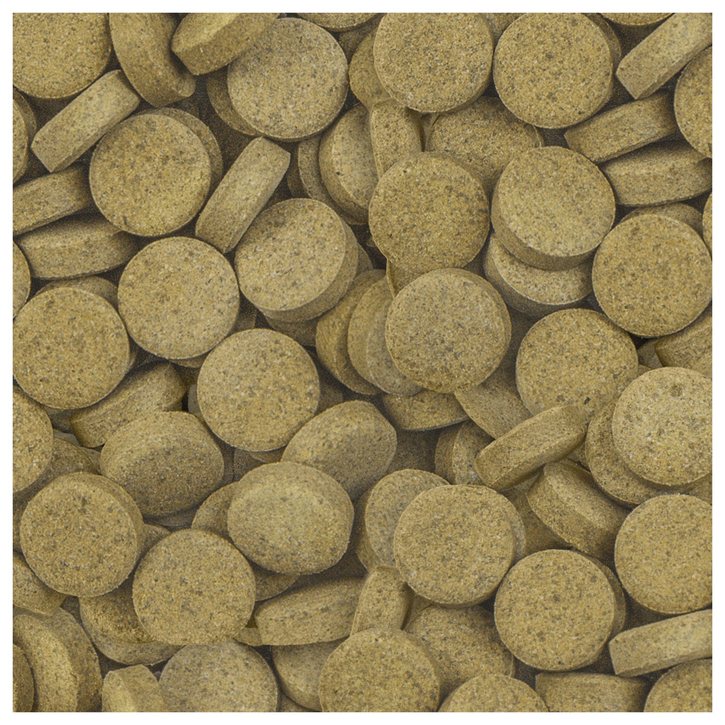 Sera O-Nip Stickies 16g 24 Tablets