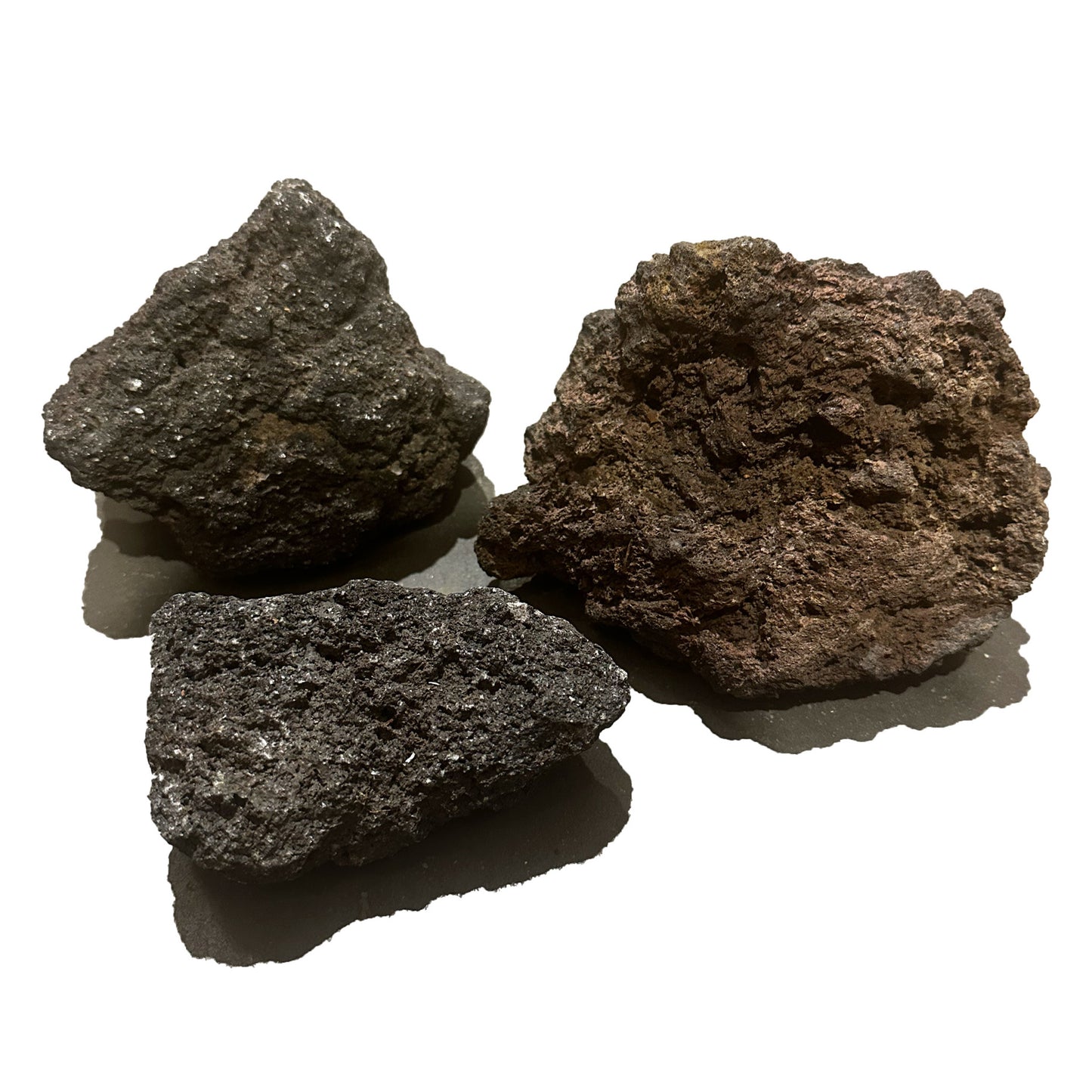 Black Rose Lava Rock