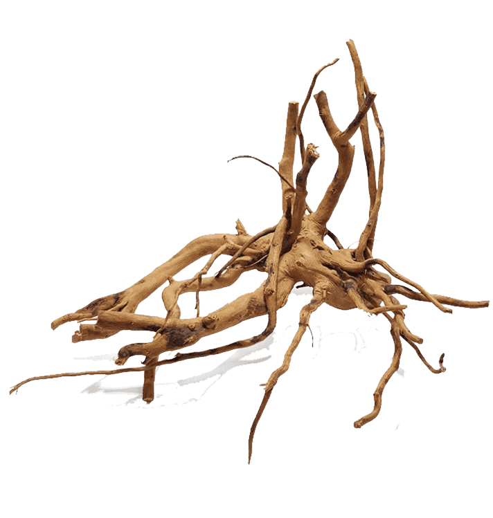 Red Moor wood (Per kilo)