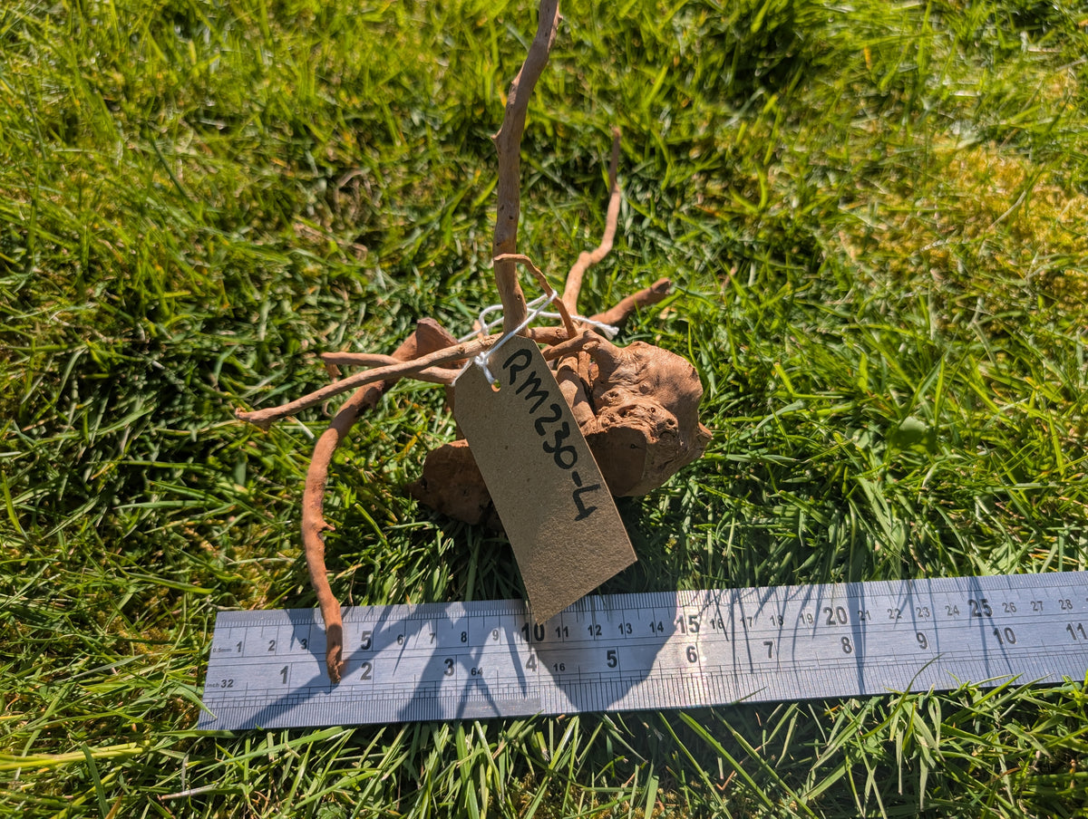 Red Moor Wood (20-30cm) Number 4