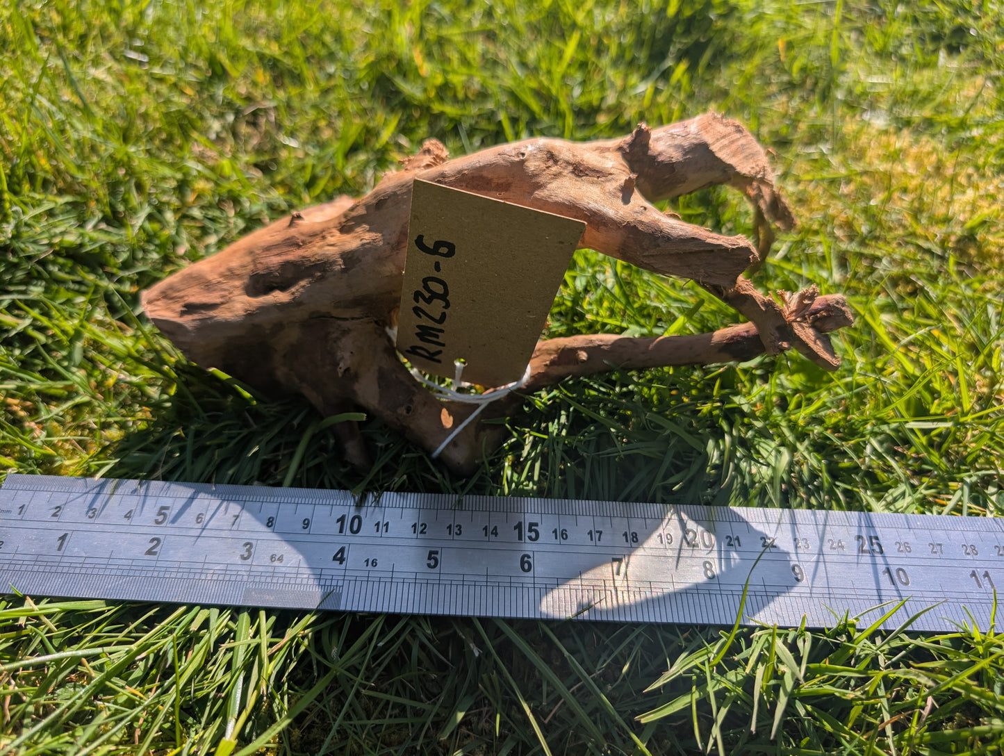 Red Moor Wood (20-30cm) Number 6