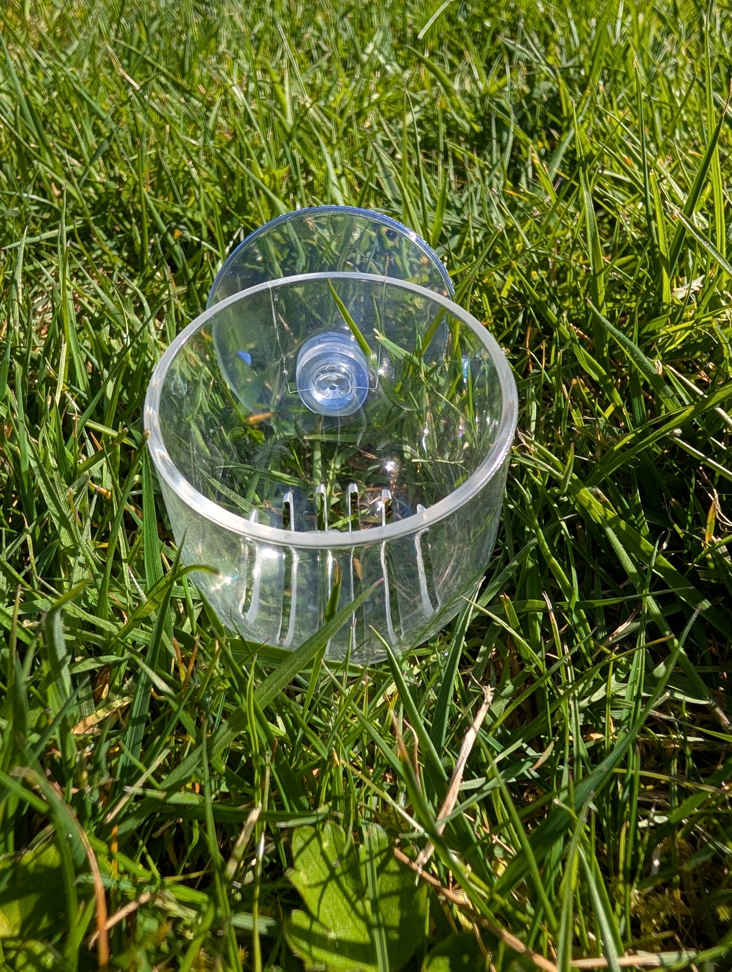 Acrylic Planter with Suction Cup