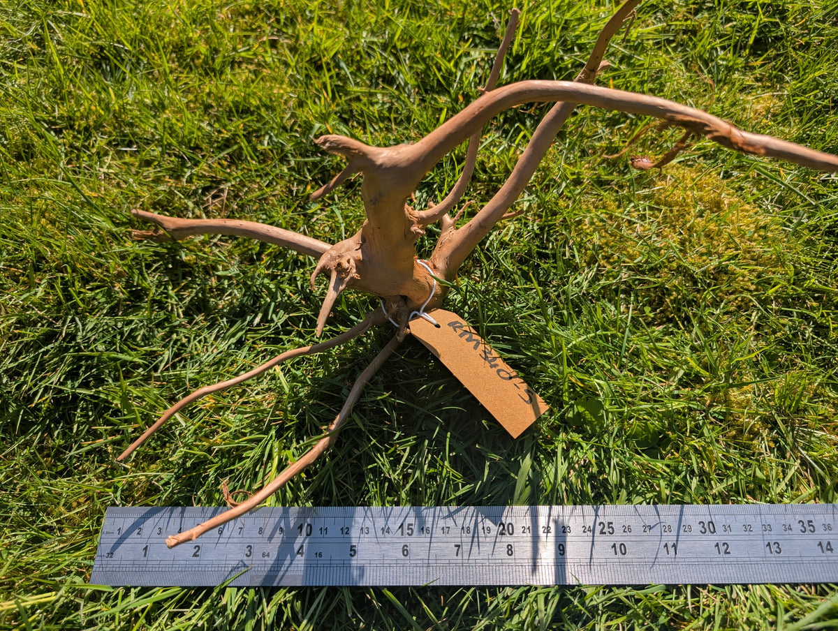 Red Moor Wood (30-40cm) Number 5