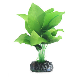 Betta Choice Silk Green Spatterphyllum