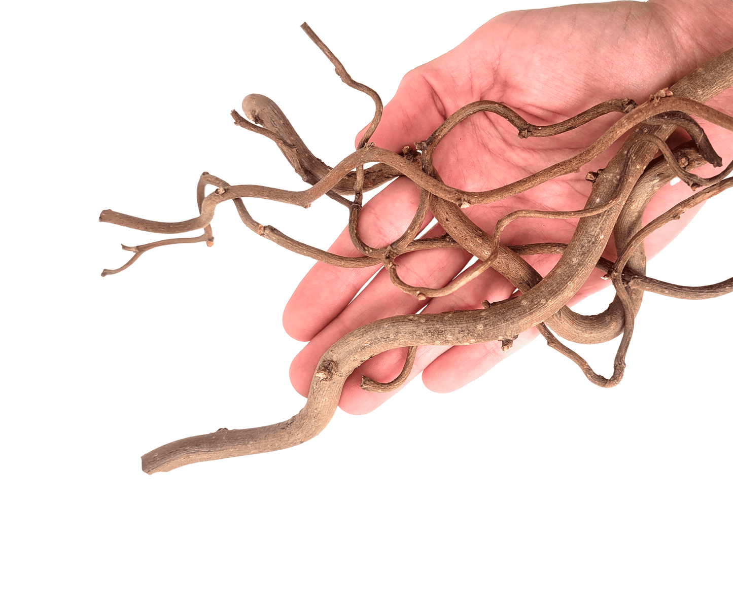 Twisted Root