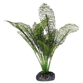 Betta Choice 30cm Silk Green Lace Plant