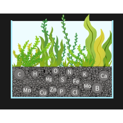 Fishkeeping Focus #3: Substrate choice - what should you pick?