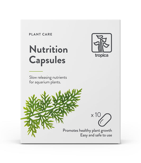 Nutrition capsules 10 pcs.