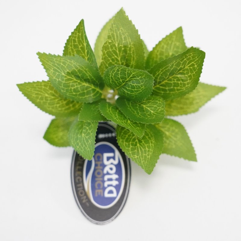 Betta Choice 4" Green Broad Leaf Silk Plant