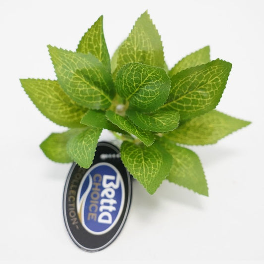 Betta Choice 4" Green Broad Leaf Silk Plant