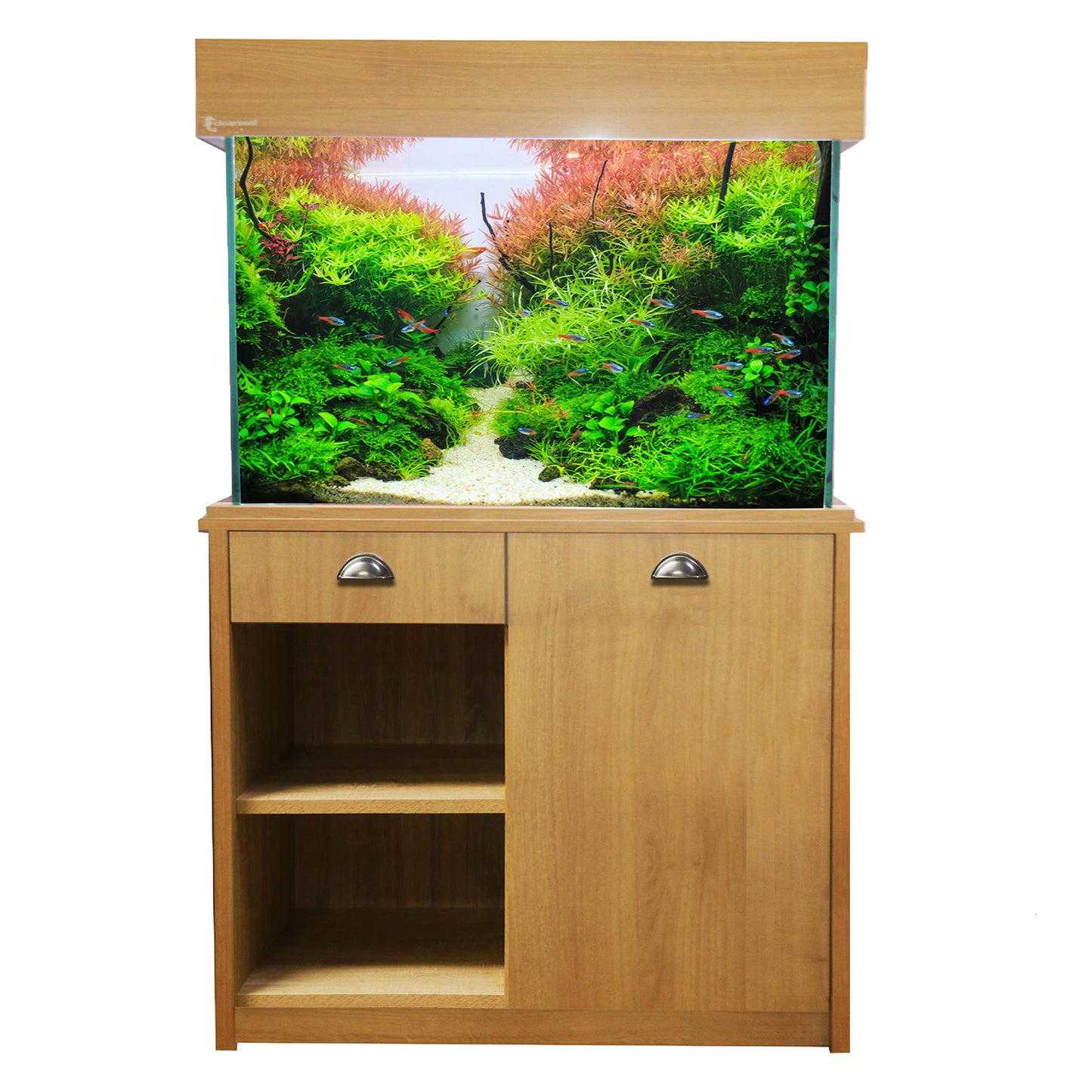 Custom Aquariums & Speciality Aquariums