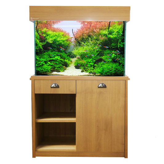 Custom Aquariums & Speciality Aquariums