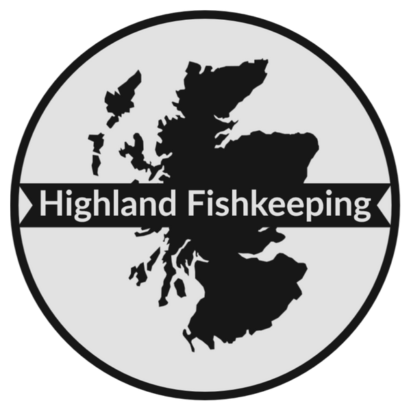 Highland Fishkeeping