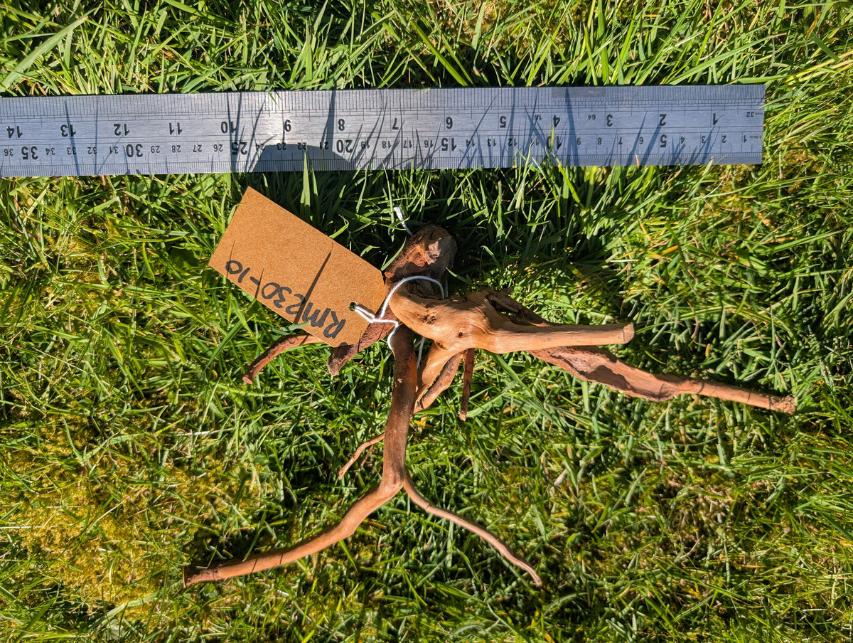 Red Moor Wood (20-30cm) Number 10