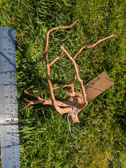 Red Moor Wood (20-30cm) Number 11