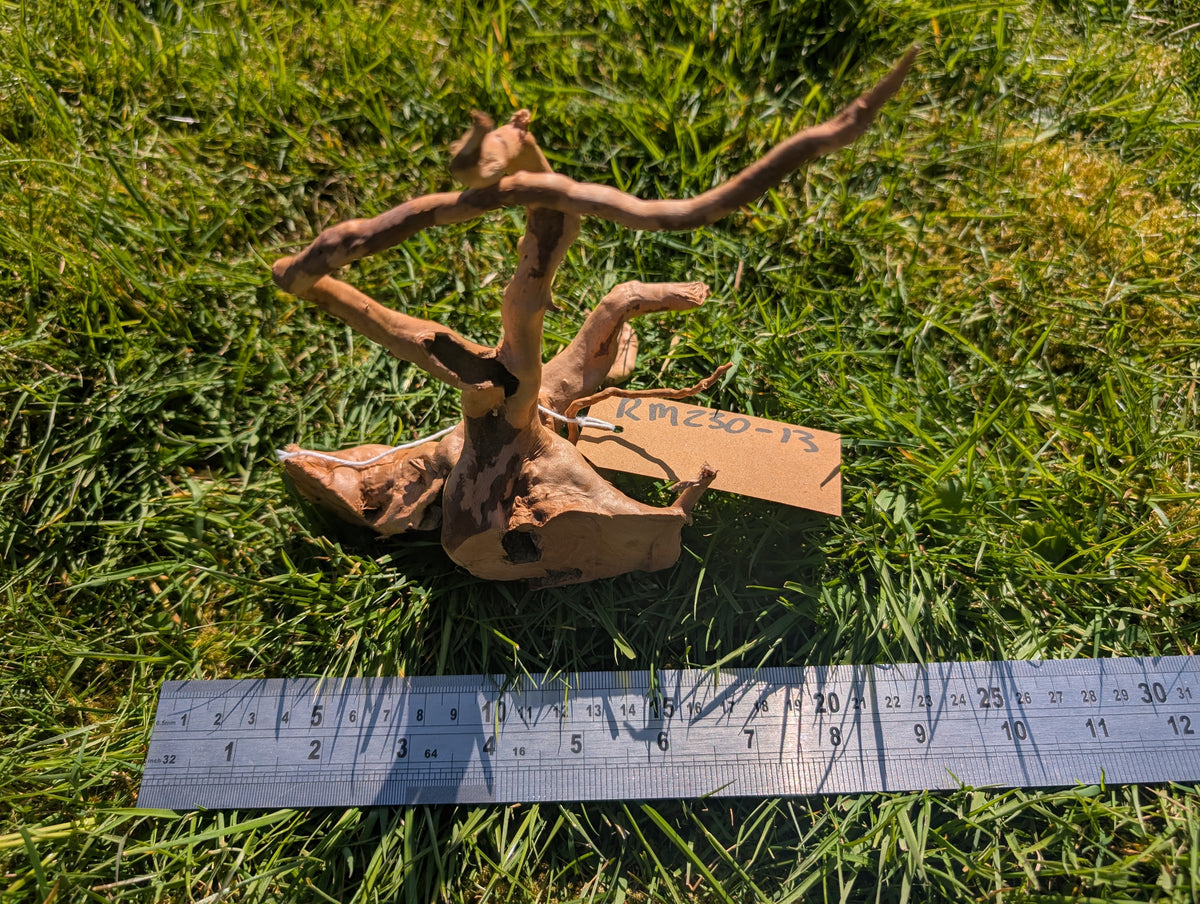 Red Moor Wood (20-30cm) Number 13