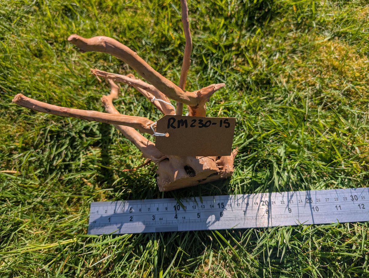 Red Moor Wood (20-30cm) Number 15