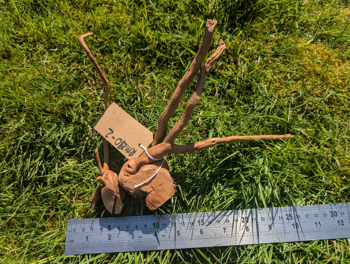 Red Moor Wood (20-30cm) Number 2