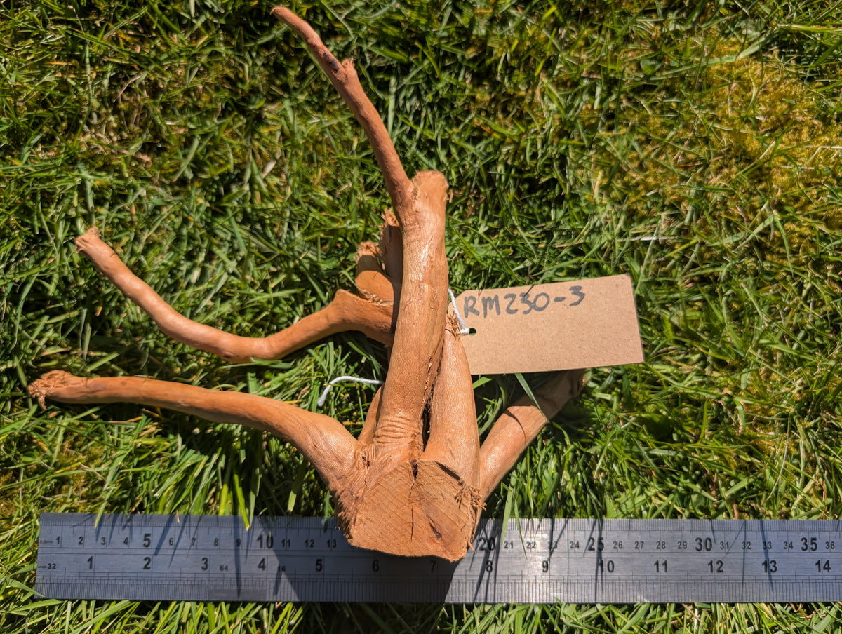 Red Moor Wood (20-30cm) Number 3