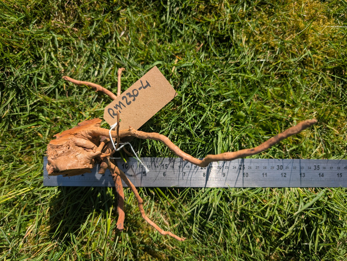 Red Moor Wood (20-30cm) Number 4