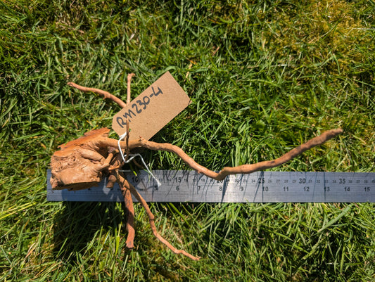 Red Moor Wood (20-30cm) Number 4