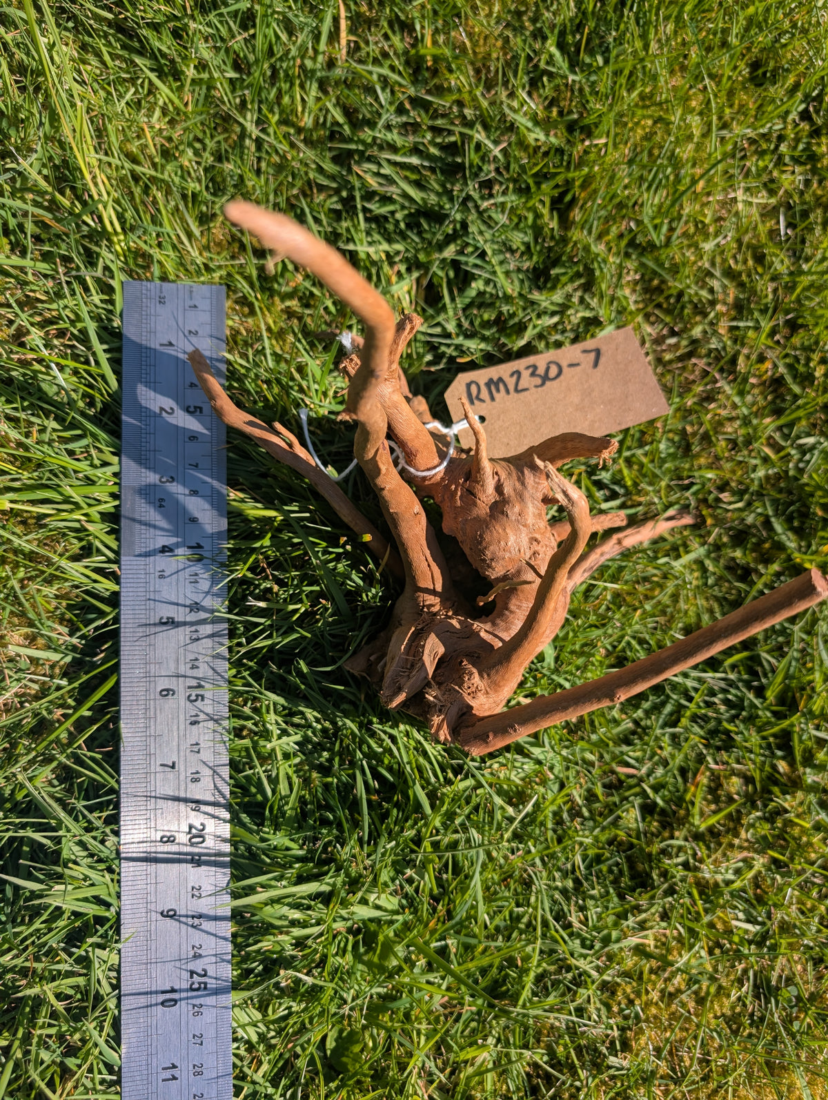 Red Moor Wood (20-30cm) Number 7