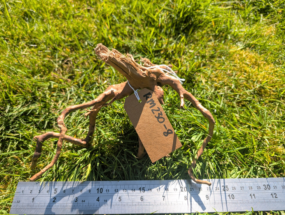 Red Moor Wood (20-30cm) Number 8