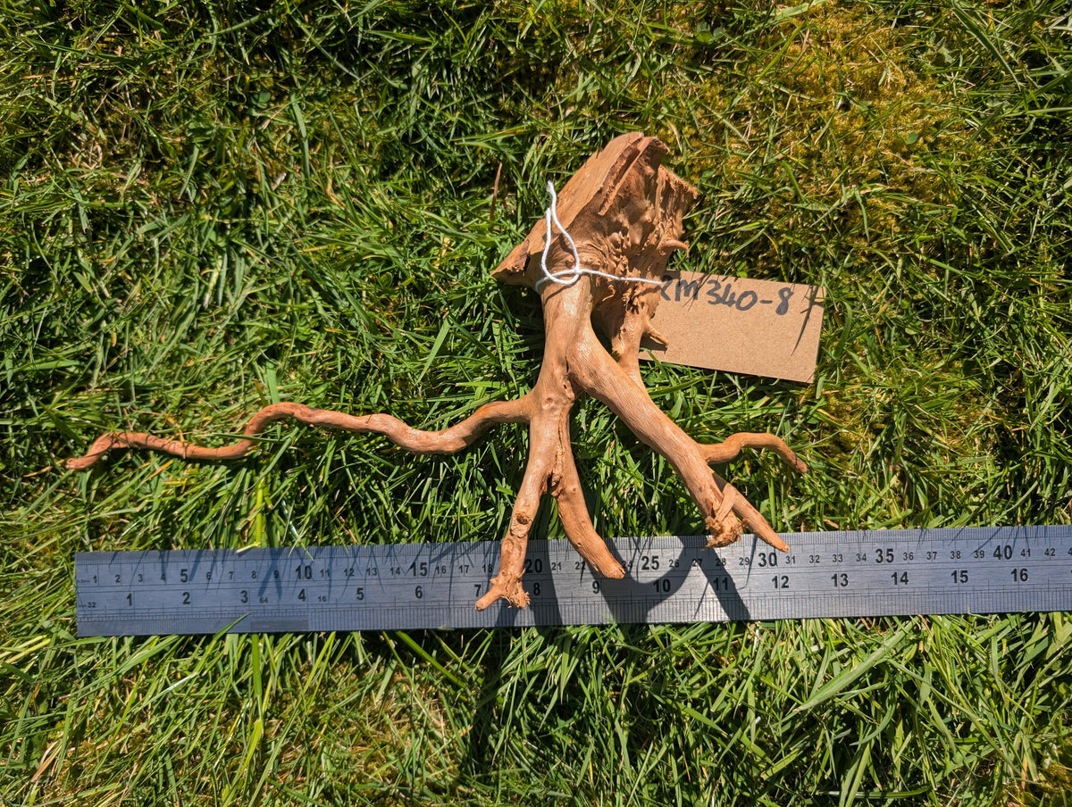Red Moor Wood (30-40cm) Number 8