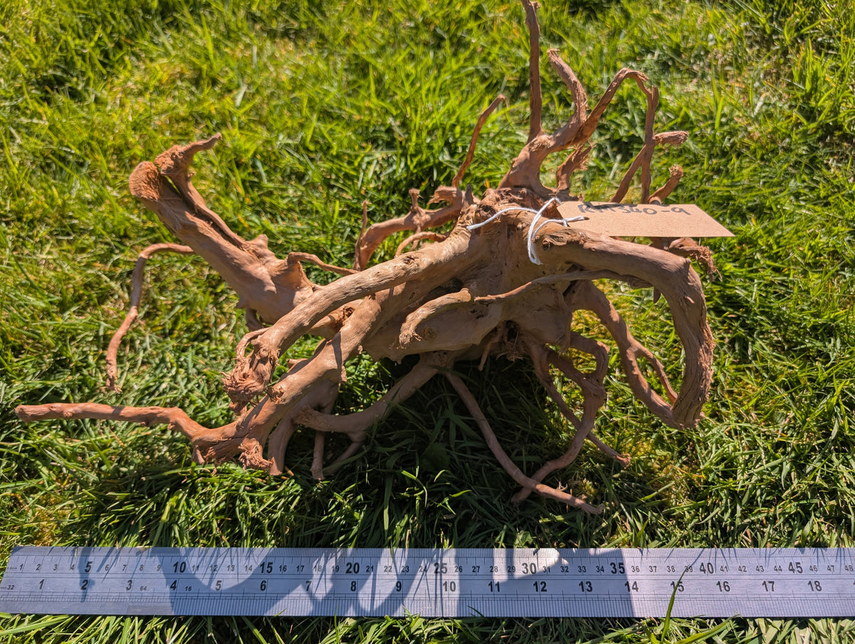Red Moor Wood (30-40cm) Number 9