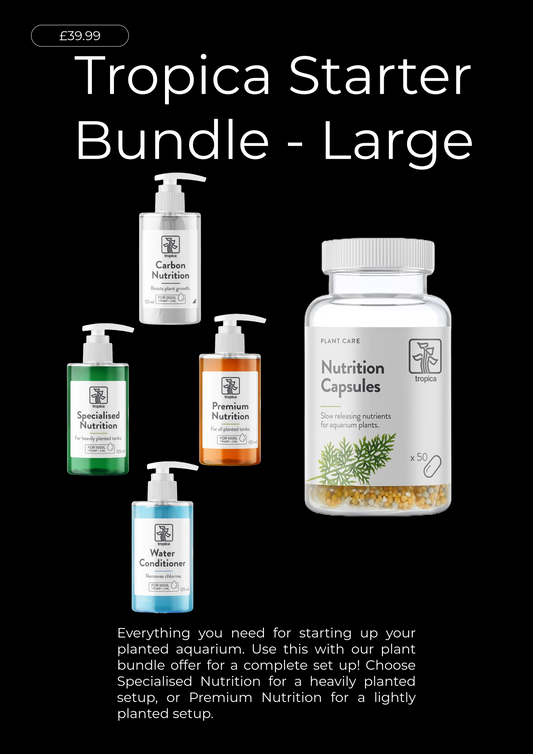 Tropica Large Starter Bundle