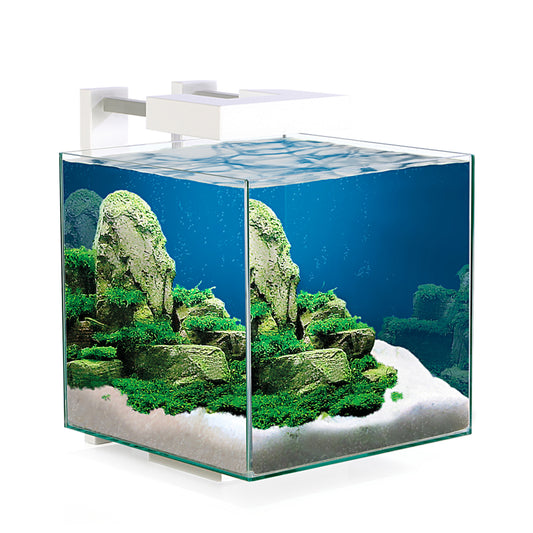 Ciano Nexus Pure 15L Cube Aquarium with LED Light