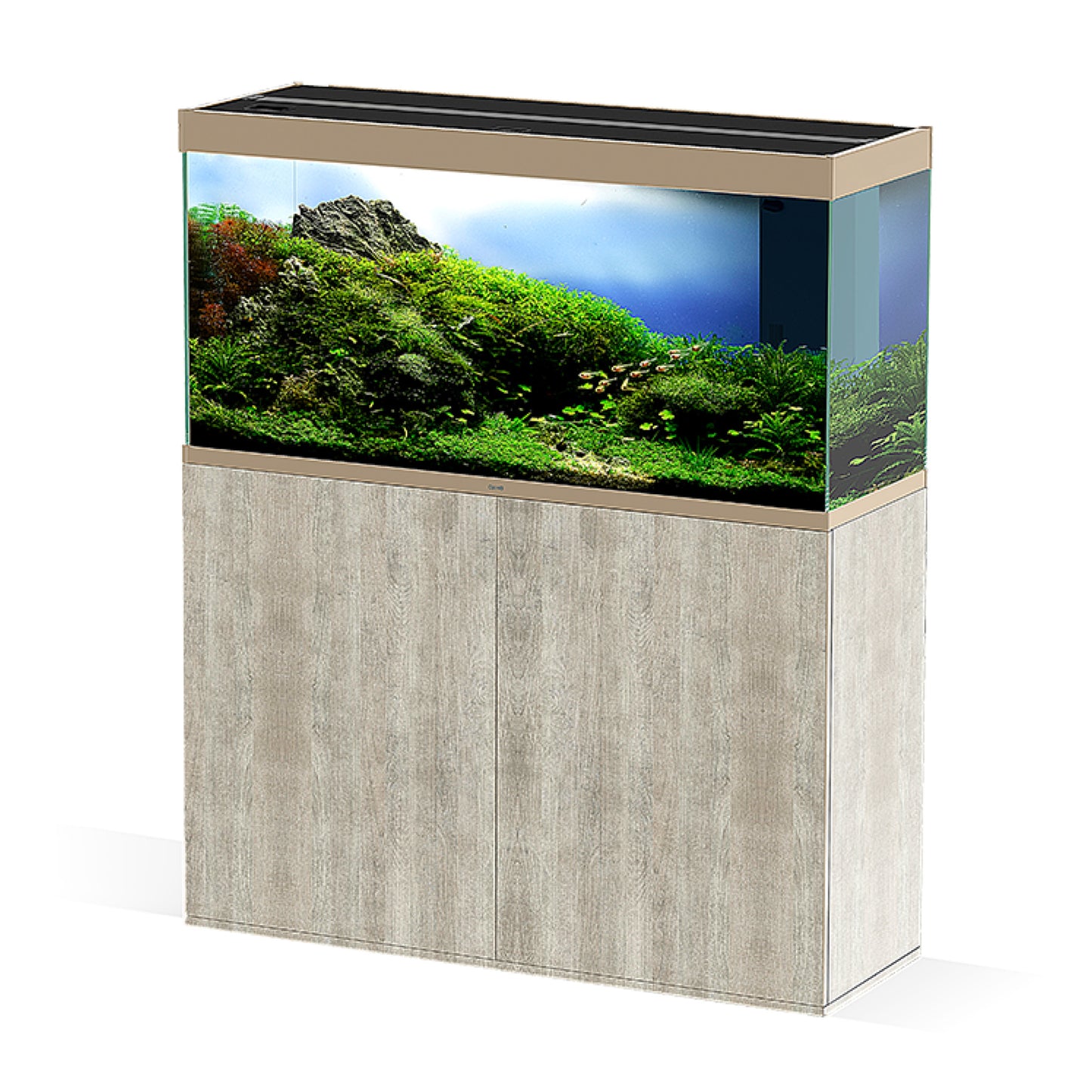 Custom Aquariums & Speciality Aquariums