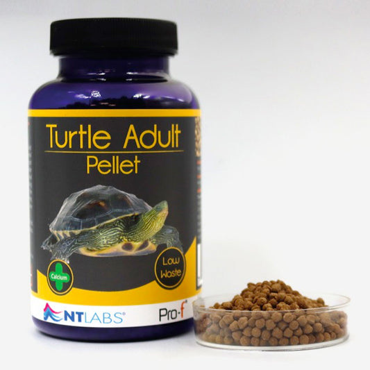 NT Labs Pro-f Turtle Adult