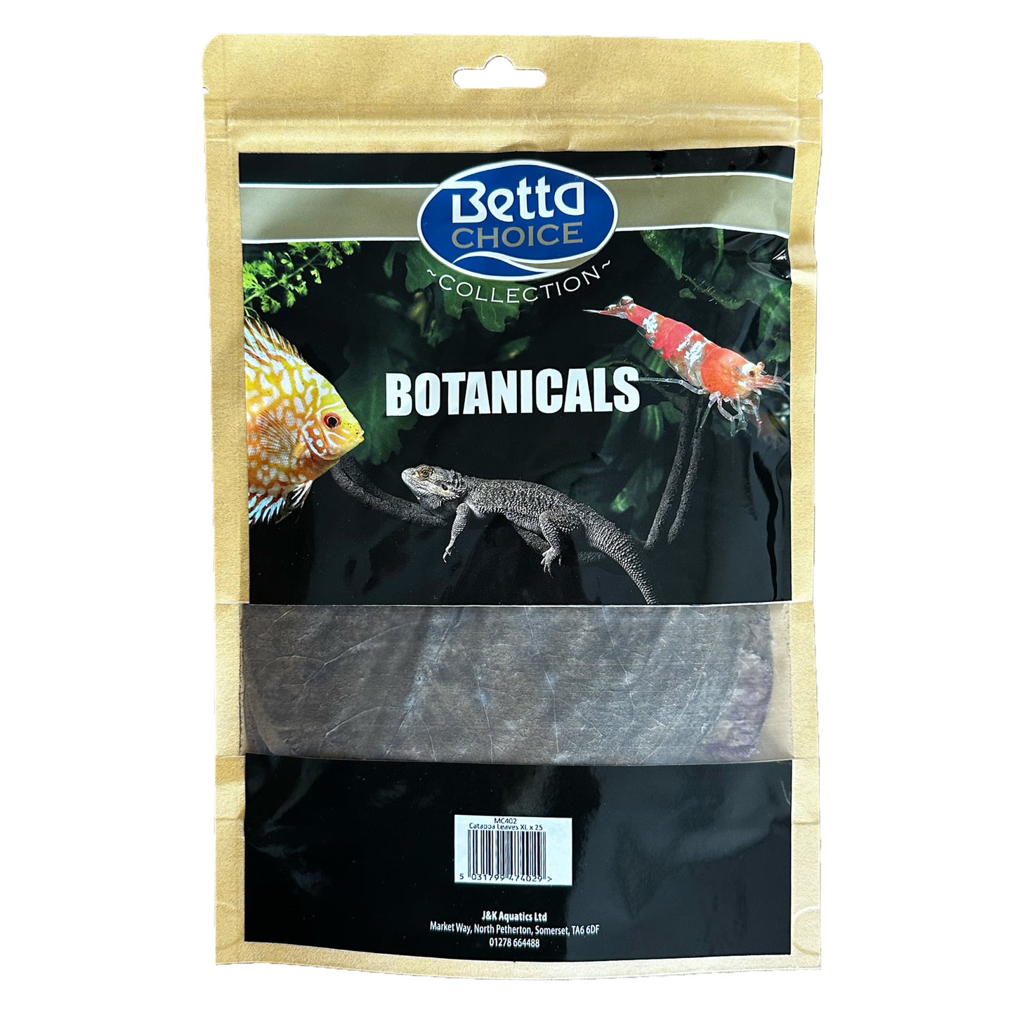 Betta Choice Catappa Leaves XL x 25