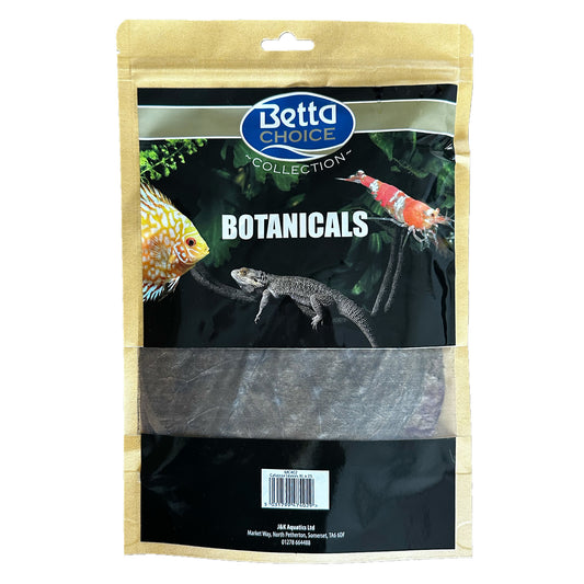 Betta Choice Catappa Leaves XL x 10