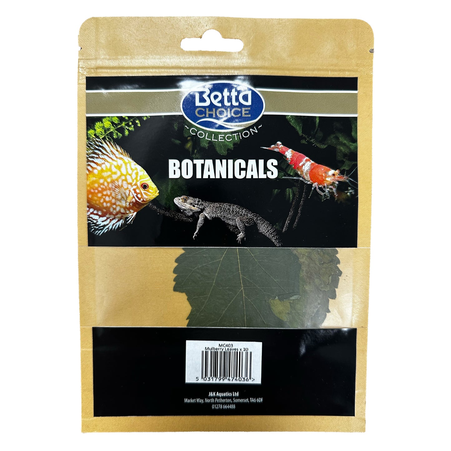 Betta Choice Mulberry Leaves x 10