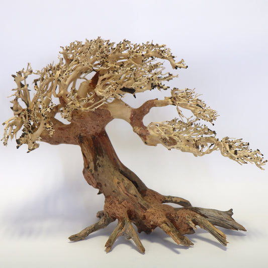 Romantic Bonsai Wood Large