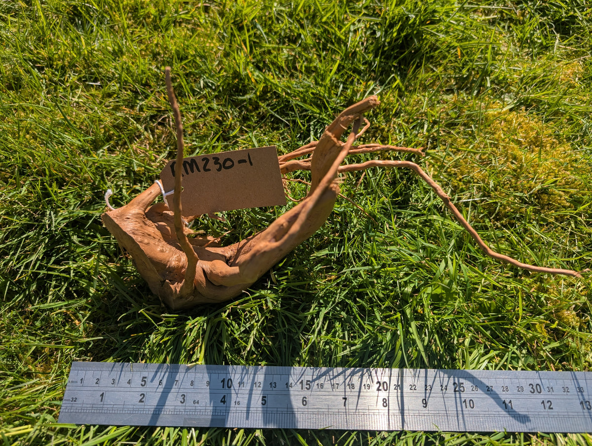 RM230-1 (33cm)