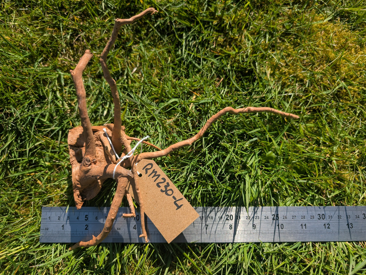 Red Moor Wood (20-30cm) Number 4