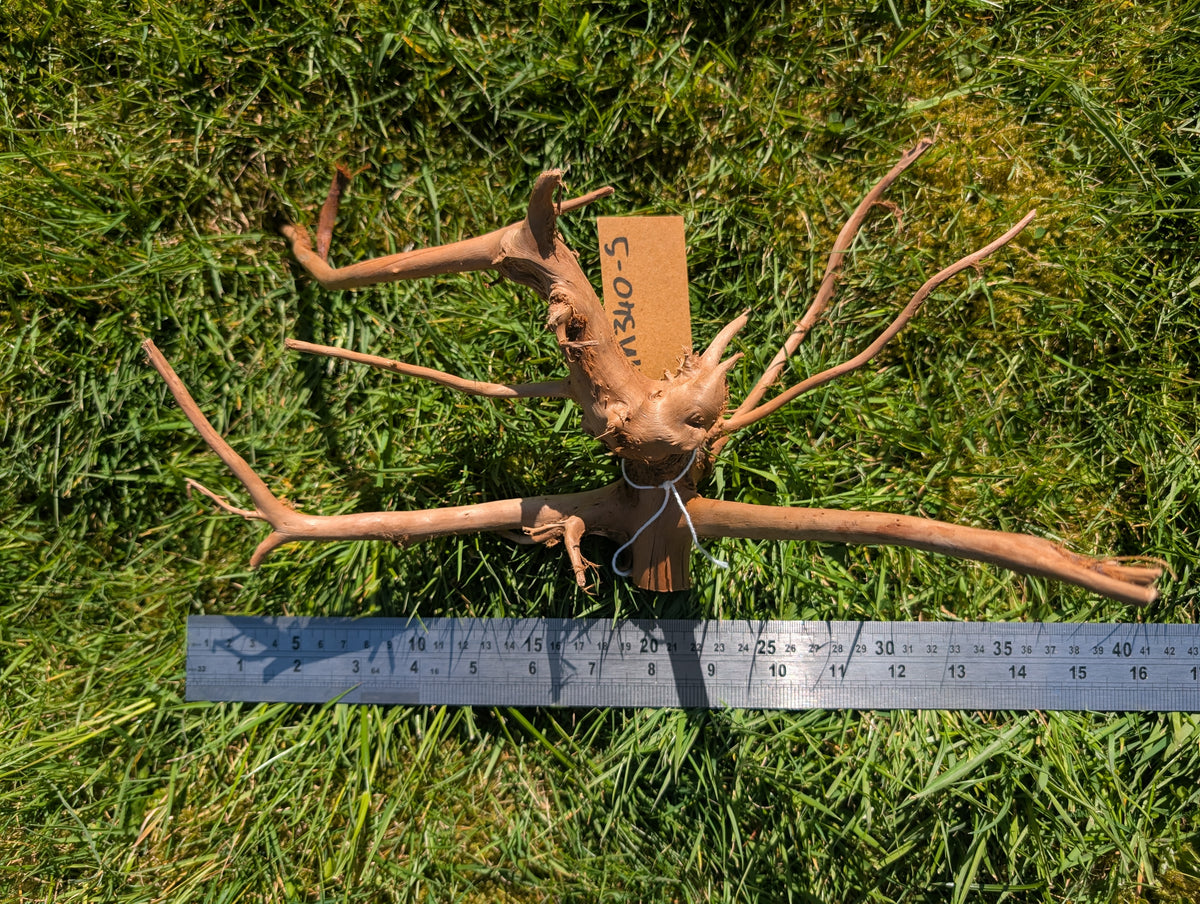 Red Moor Wood (30-40cm) Number 5