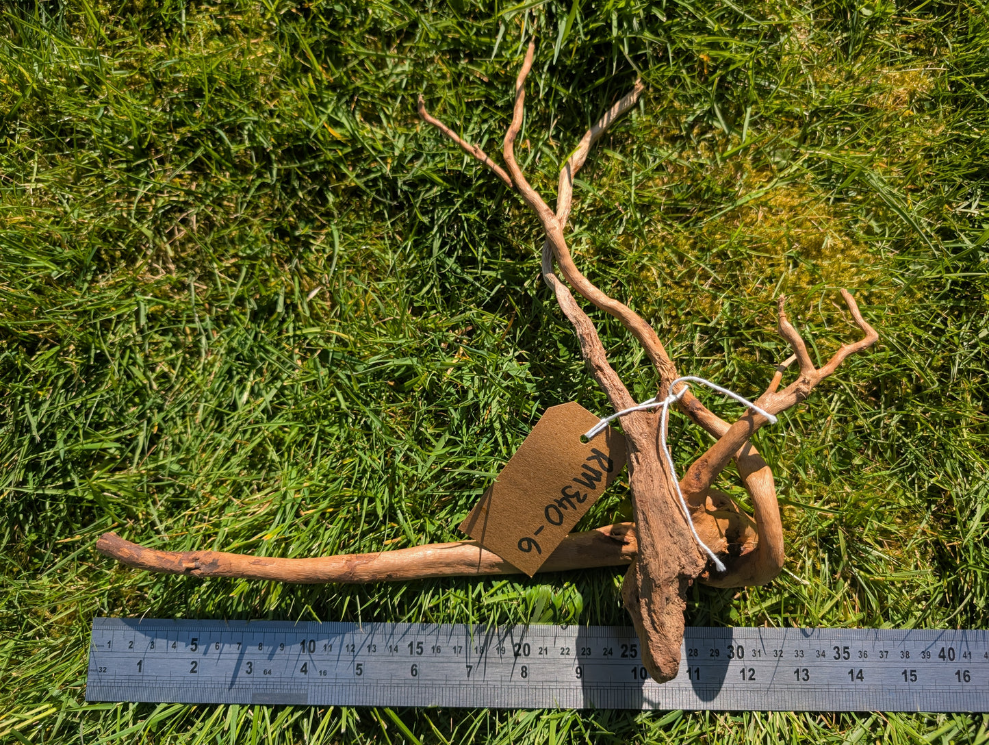 Red Moor Wood (30-40cm) Number 6